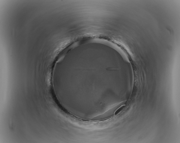 X0000111600023200907231245