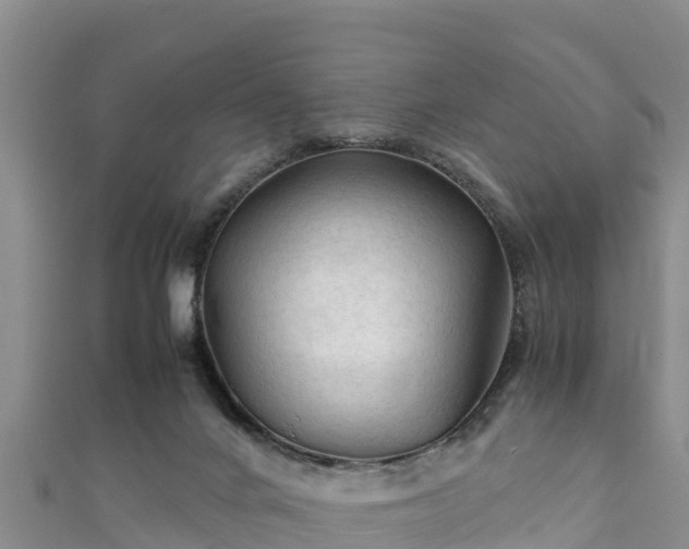 X0000111600024200907231245