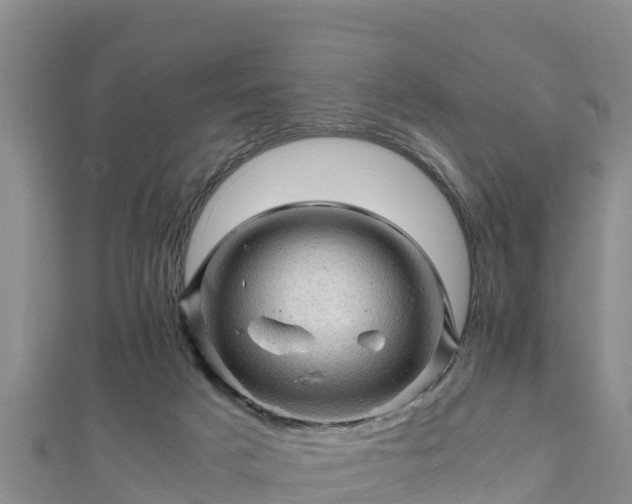 X0000111600025200907231245