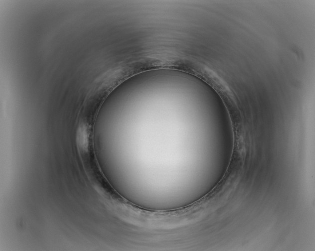 X0000111600026200907231245