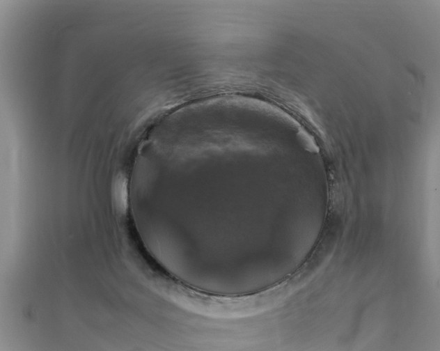 X0000111600027200907231245