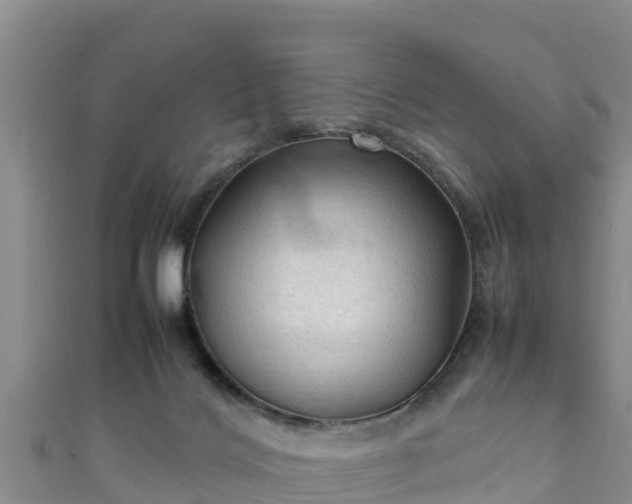 X0000111600028200907231245