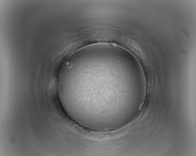 X0000111600029200907231245