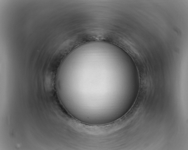 X0000111600030200907231245