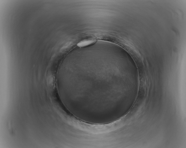 X0000111600031200907231245