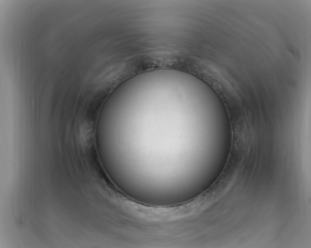 X0000111600034200907231245