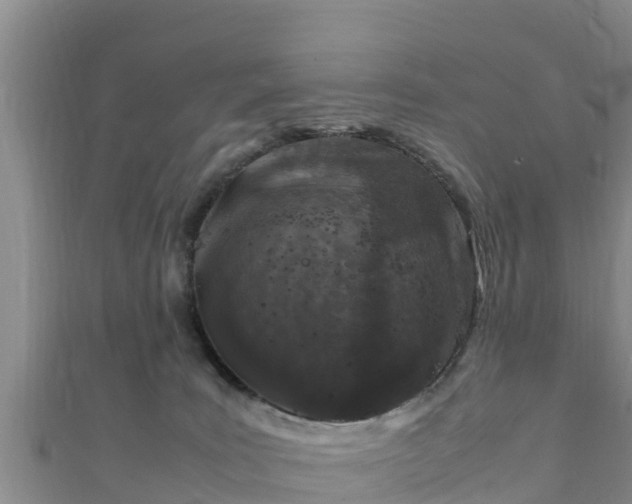X0000111600035200907231245