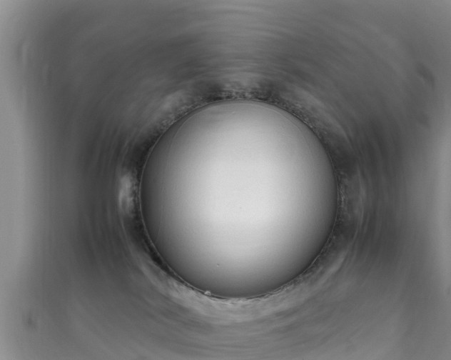 X0000111600038200907231245