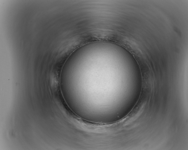X0000111600040200907231245