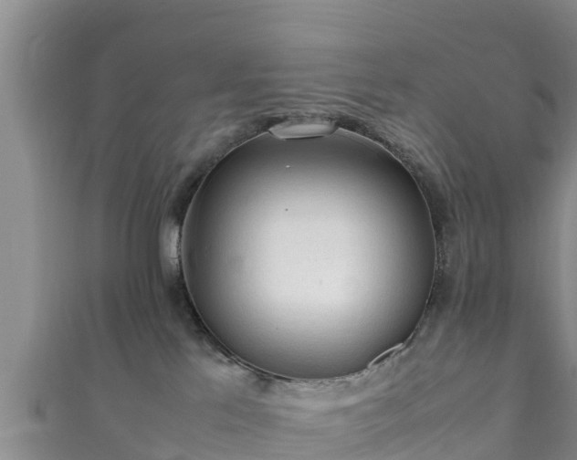 X0000111600041200907231245