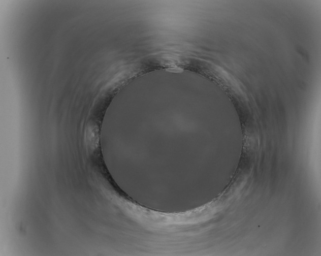 X0000111600043200907231245