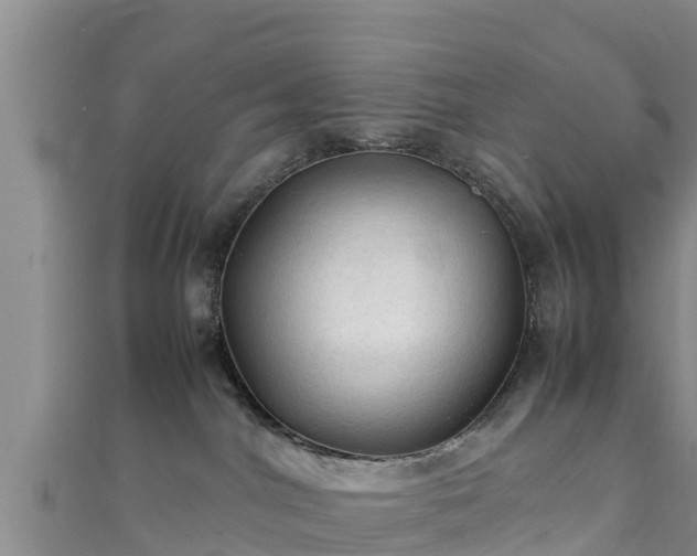 X0000111600044200907231245