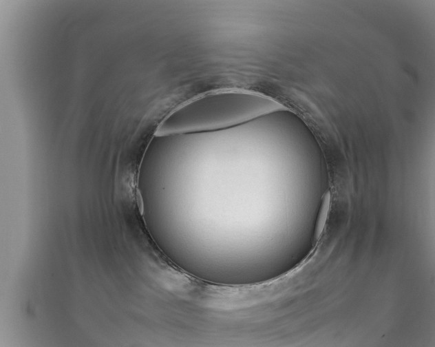 X0000111600045200907231245