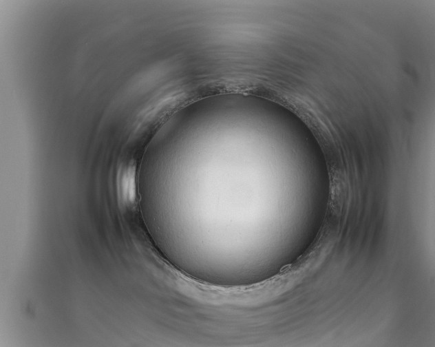 X0000111600046200907231245