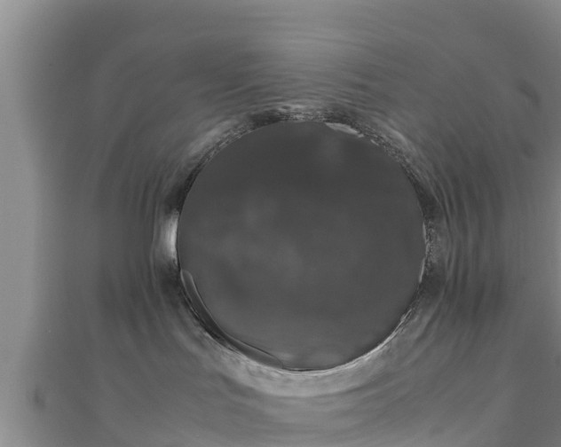 X0000111600047200907231245