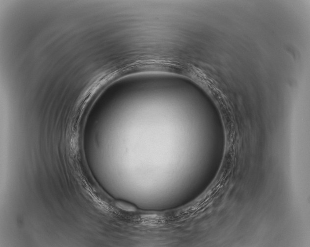 X0000111600050200907231244