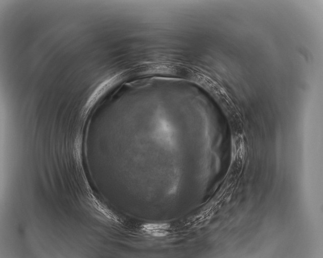 X0000111600051200907231244