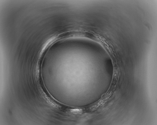 X0000111600053200907231244