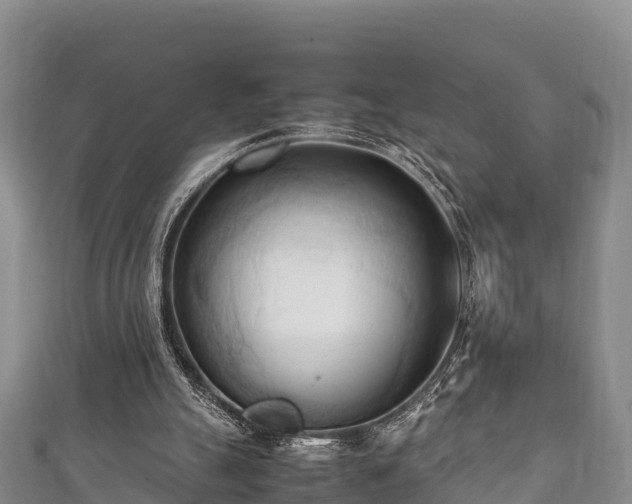 X0000111600055200907231244