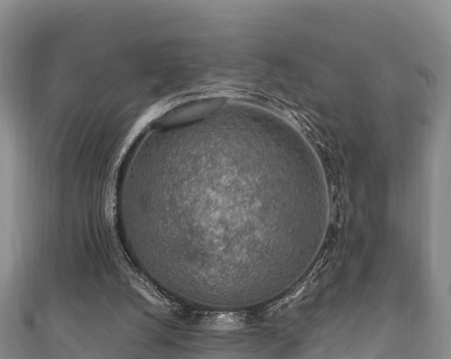 X0000111600056200907231244