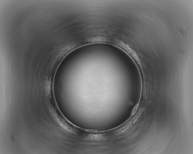 X0000111600057200907231244