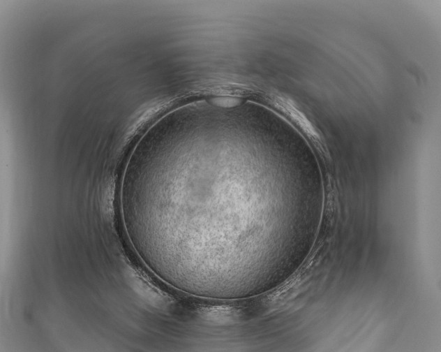 X0000111600058200907231244