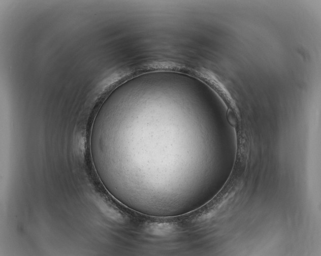 X0000111600063200907231244