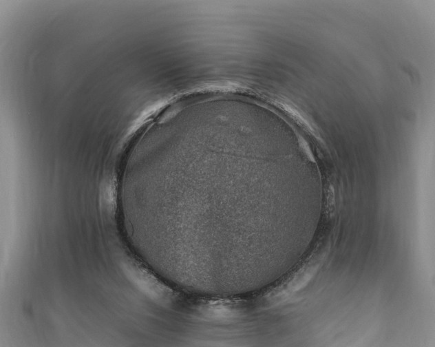 X0000111600064200907231244