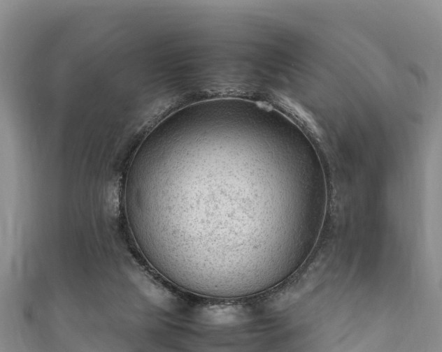 X0000111600065200907231244