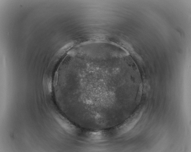 X0000111600068200907231244