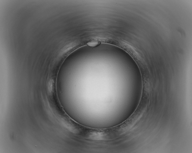 X0000111600071200907231244