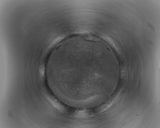X0000111600072200907231244