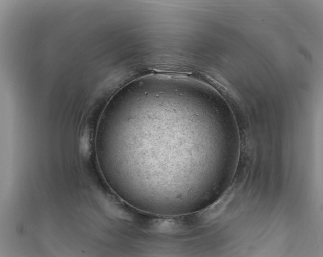 X0000111600074200907231244
