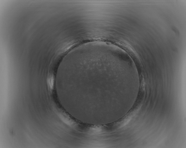 X0000111600076200907231244