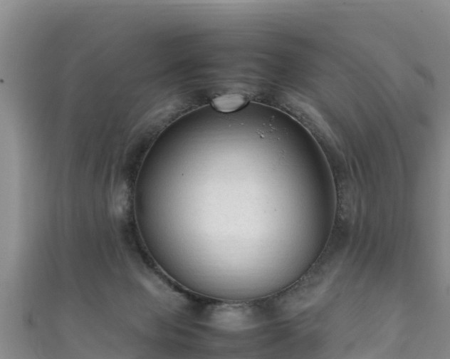 X0000111600077200907231244
