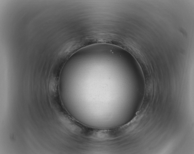 X0000111600078200907231244