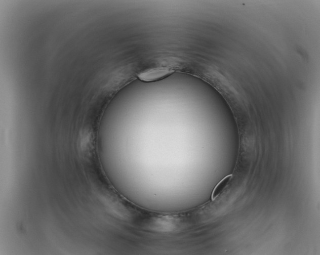 X0000111600079200907231244