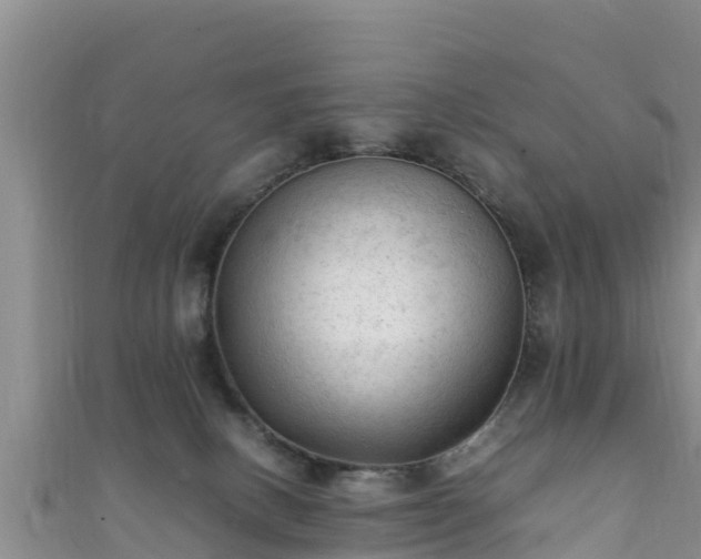 X0000111600082200907231244