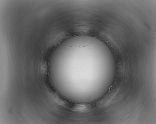 X0000111600083200907231244