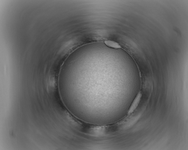 X0000111600084200907231244