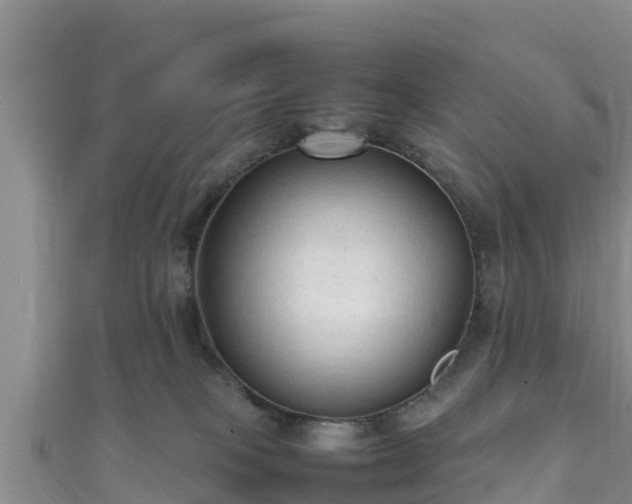 X0000111600085200907231244