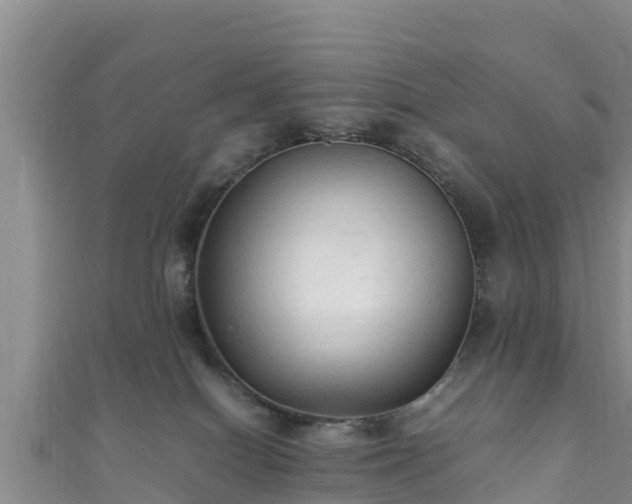 X0000111600086200907231244