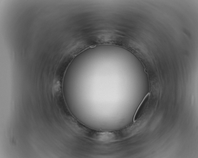 X0000111600087200907231244