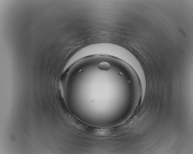X0000111600088200907231245