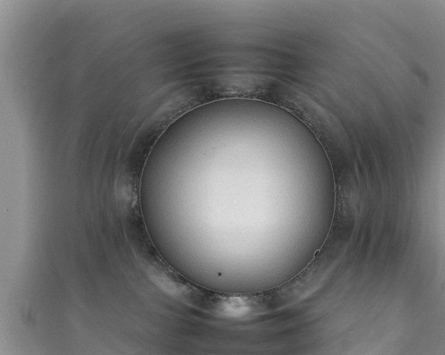 X0000111600091200907231245