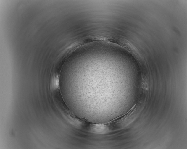 X0000111600095200907231245