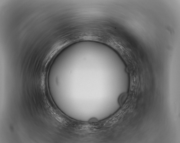 X0000111600098200907231244