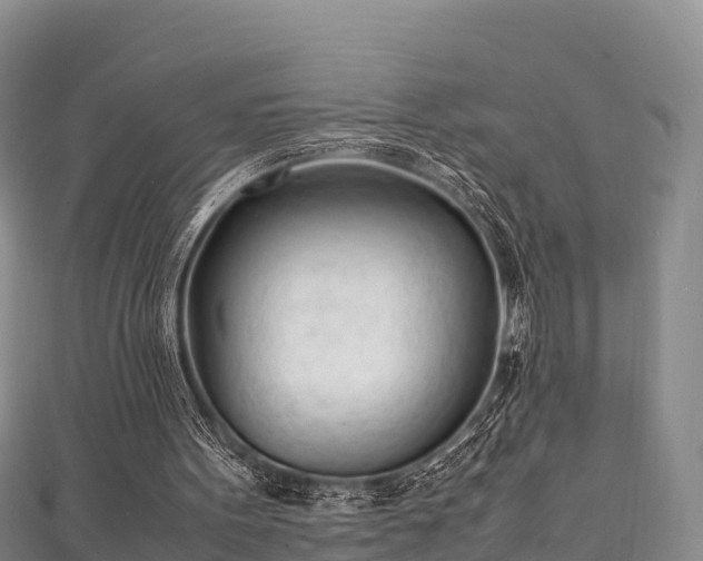 X0000111600099200907231244