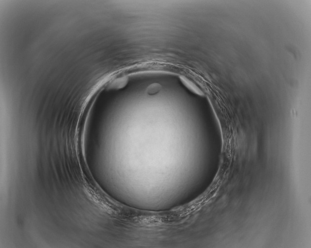 X0000111600100200907231244
