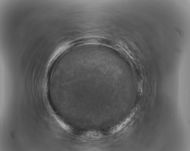 X0000111600101200907231244